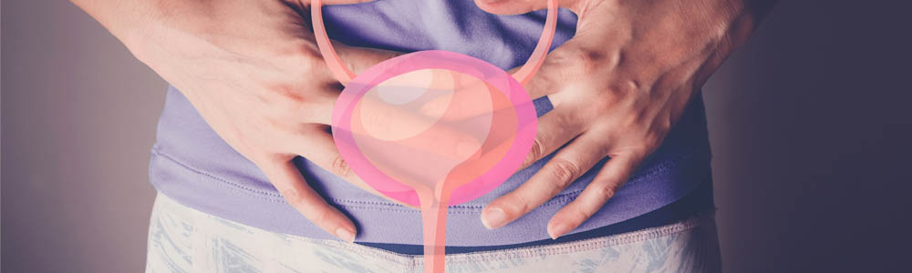 Person holding a cutout of a bladder Person holding a cutout of a bladder